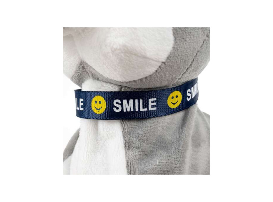 Interaktivní pes Husky