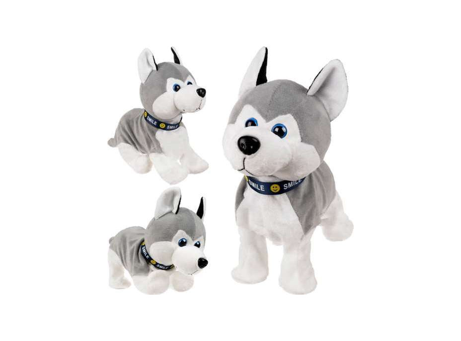 Interaktivní pes Husky