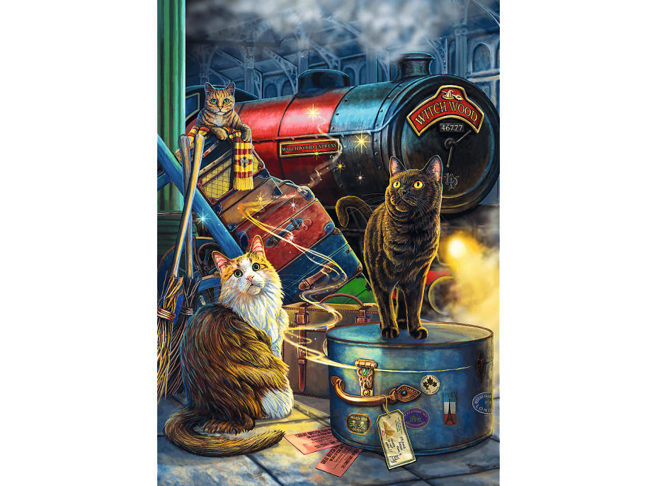 TREFL Puzzle Premium Plus Magic Collection: Witchwood Expres 1000 dílků