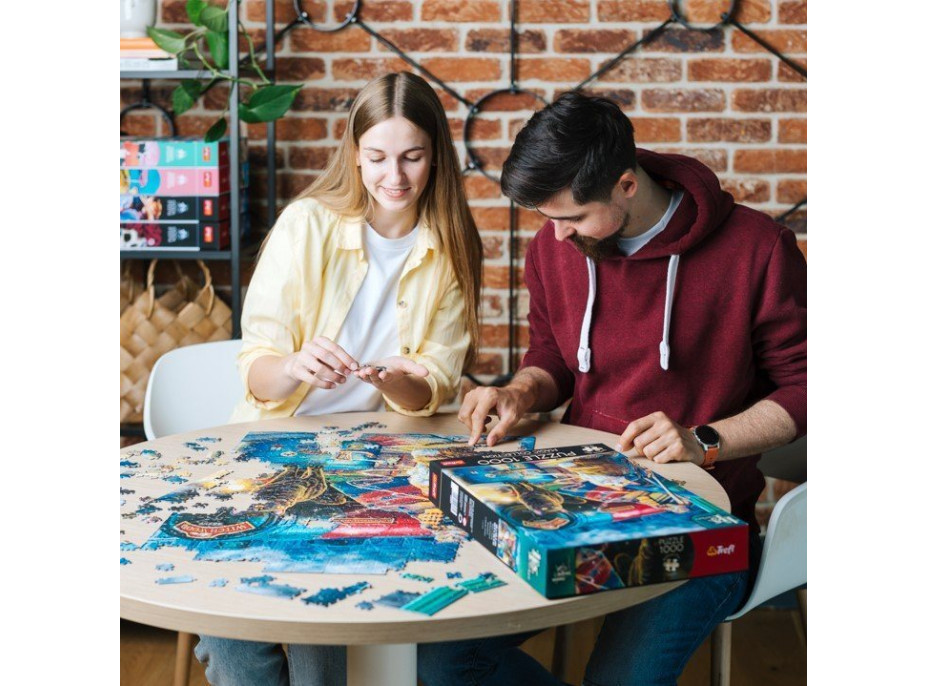 TREFL Puzzle Premium Plus Magic Collection: Witchwood Expres 1000 dílků