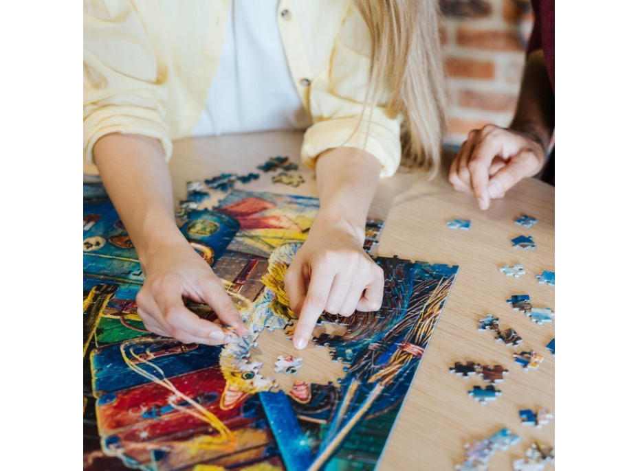TREFL Puzzle Premium Plus Magic Collection: Witchwood Expres 1000 dílků