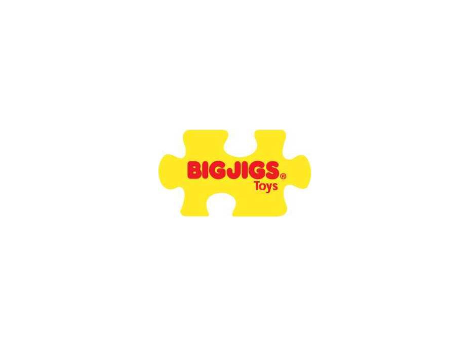 Bigjigs Rail Vánoční vláček + 3 koleje