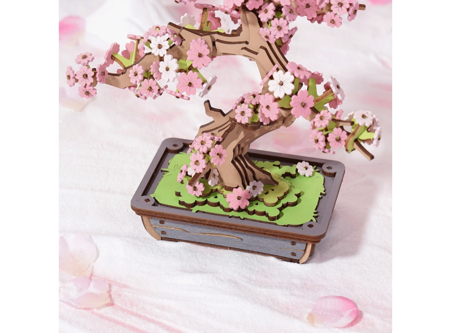 RoboTime 3D dřevěná skládačka Bonsaj sakura