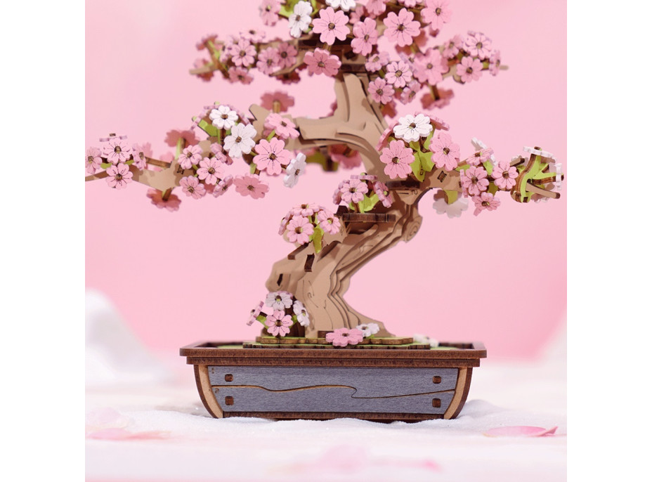 RoboTime 3D dřevěná skládačka Bonsaj sakura