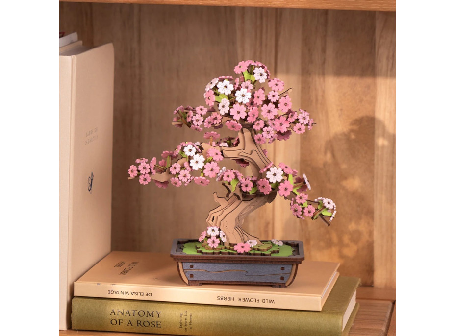RoboTime 3D dřevěná skládačka Bonsaj sakura