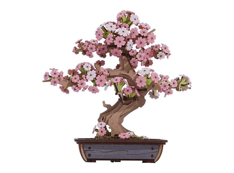 RoboTime 3D dřevěná skládačka Bonsaj sakura