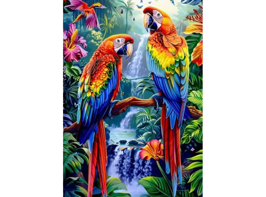 NORIMPEX Diamantové malování Papoušci u vodopádu 30x40cm