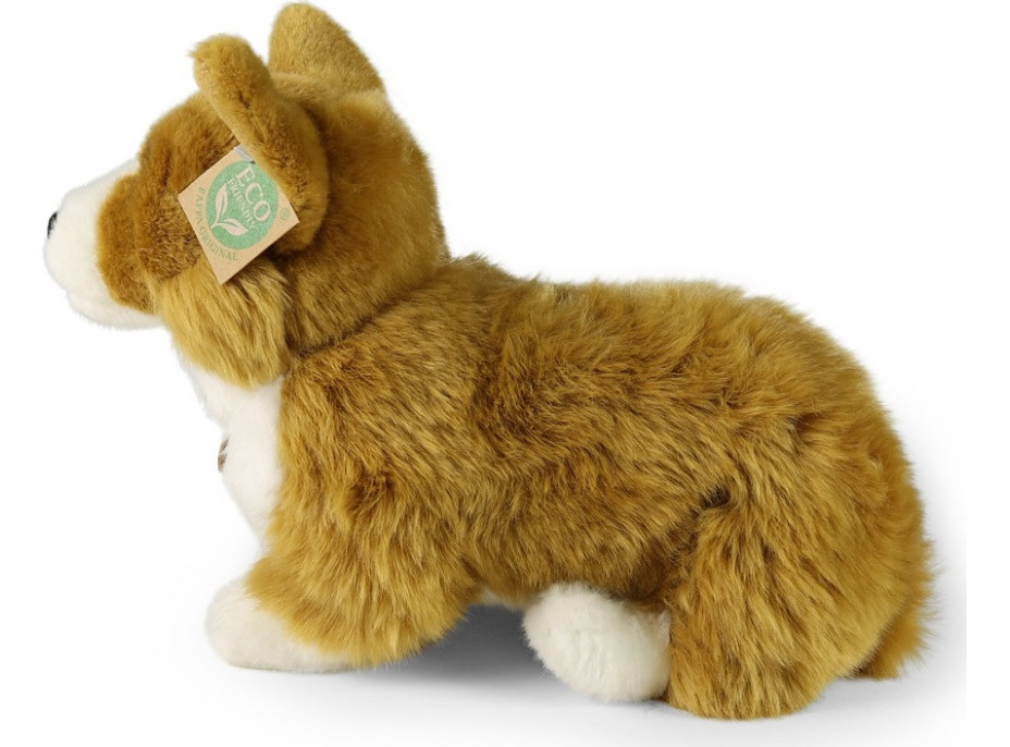 Rappa Plyšový pes corgi 32 cm ECO-FRIENDLY