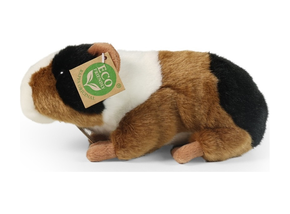 Rappa Plyšové morče 22 cm ECO-FRIENDLY