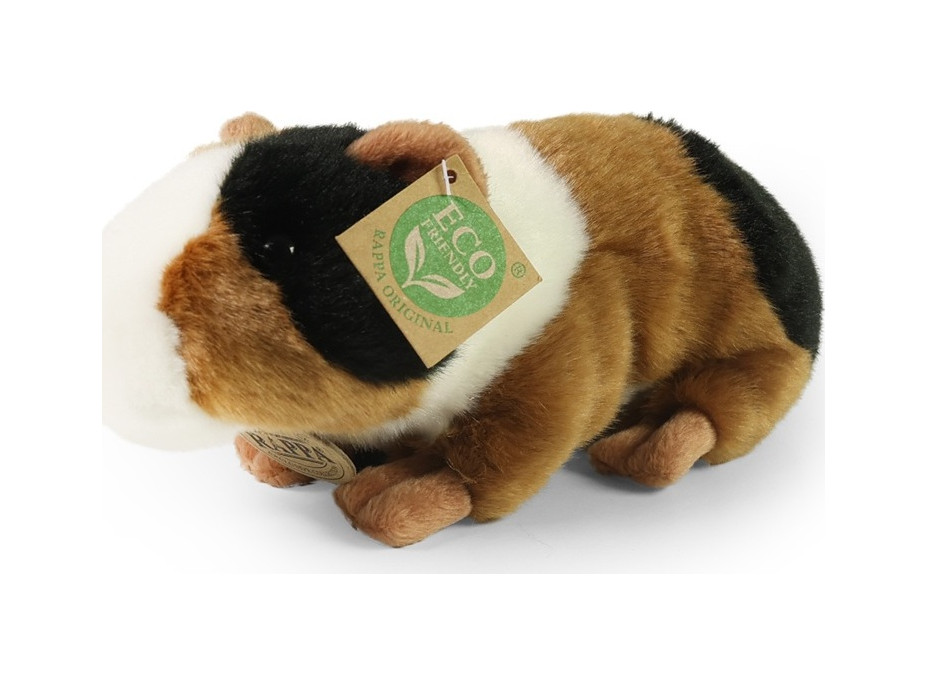 Rappa Plyšové morče 22 cm ECO-FRIENDLY