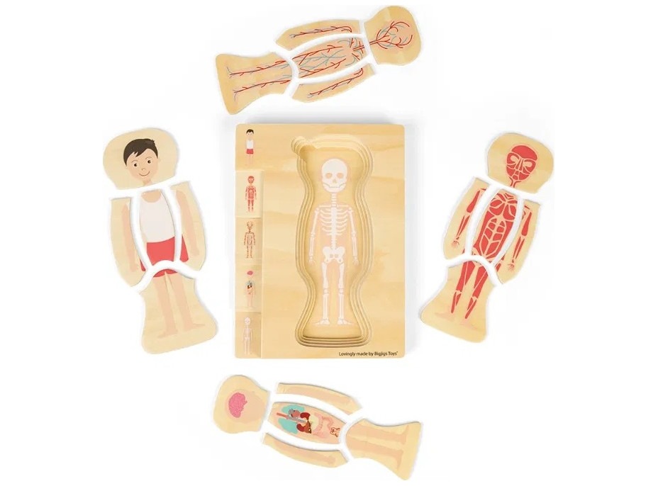 Bigjigs Toys Dřevěné puzzle Anatomie chlapec