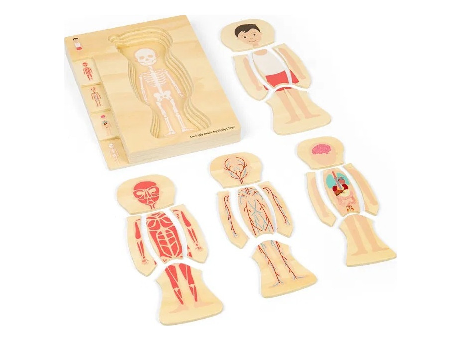 Bigjigs Toys Dřevěné puzzle Anatomie chlapec