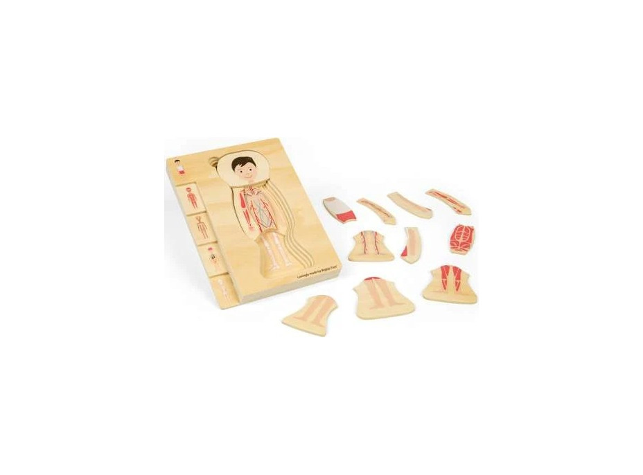 Bigjigs Toys Dřevěné puzzle Anatomie chlapec