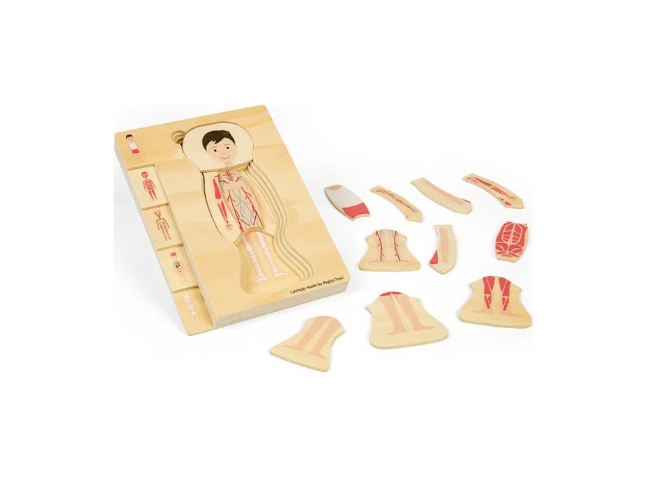 Bigjigs Toys Dřevěné puzzle Anatomie chlapec