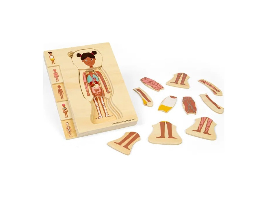Bigjigs Toys Dřevěné puzzle Anatomie dívka