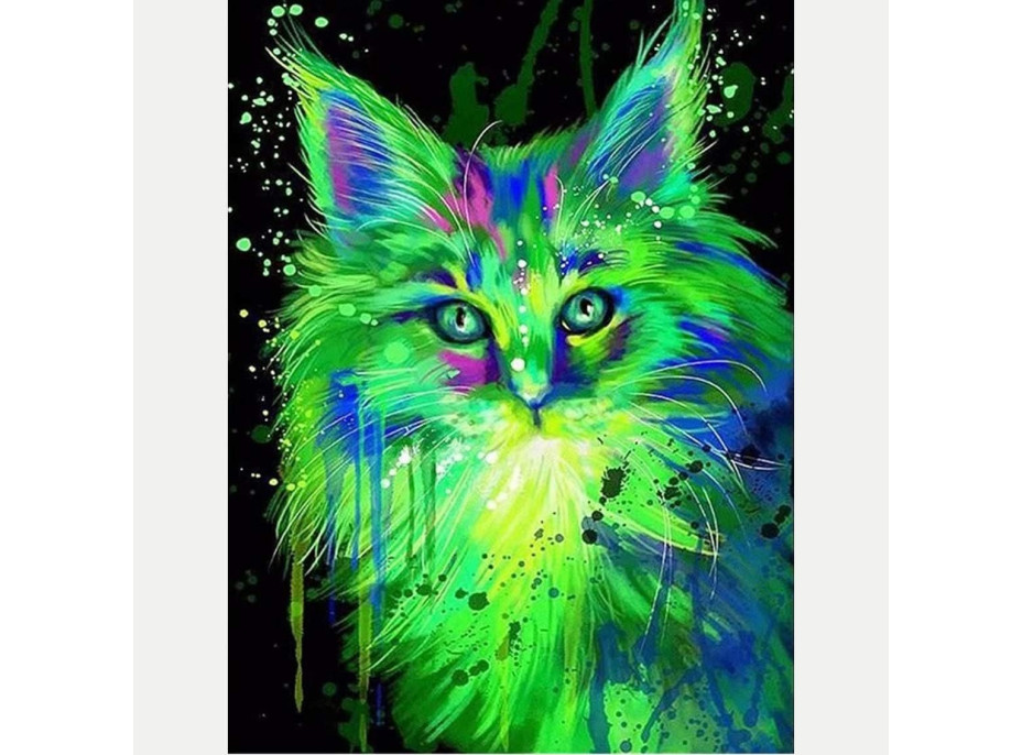 NORIMPEX Diamantové malování Fluorescenční kočka 30x40cm