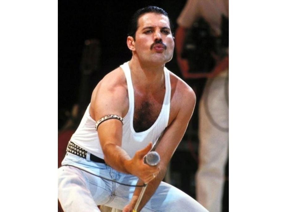 NORIMPEX Diamantové malování Freddie Mercury 30x40cm