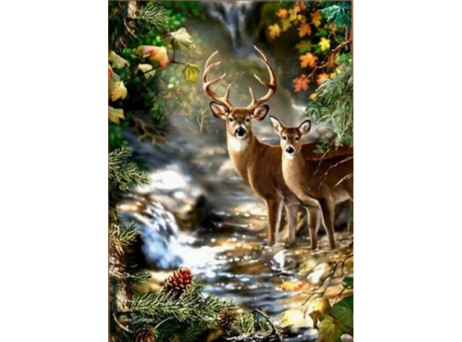 NORIMPEX Diamantové malování Jelen a srnka u lesního potoka 30x40cm