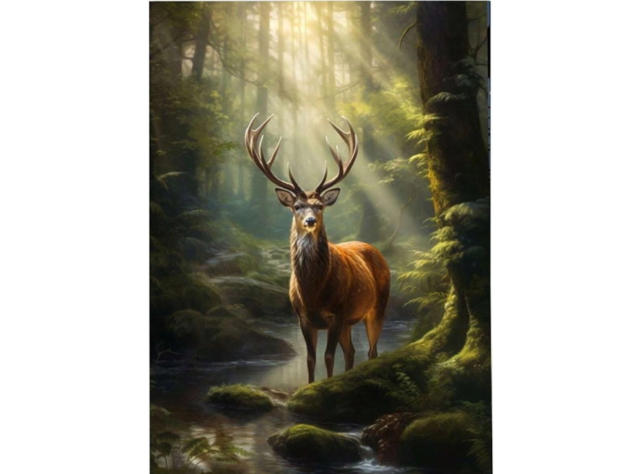 NORIMPEX Diamantové malování Jelen u lesního potoka 30x40cm