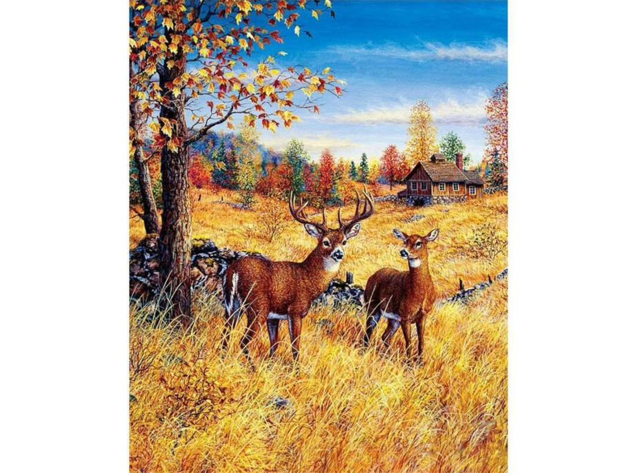 NORIMPEX Diamantové malování Jeleni na poli 30x40cm