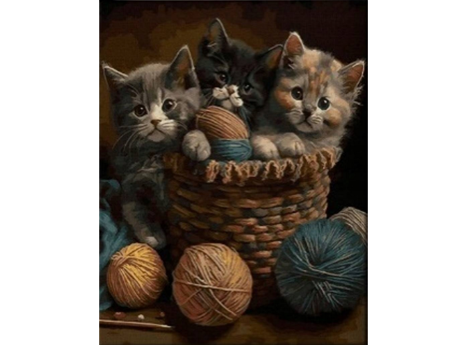 NORIMPEX Diamantové malování Koťata v košíku 30x40cm