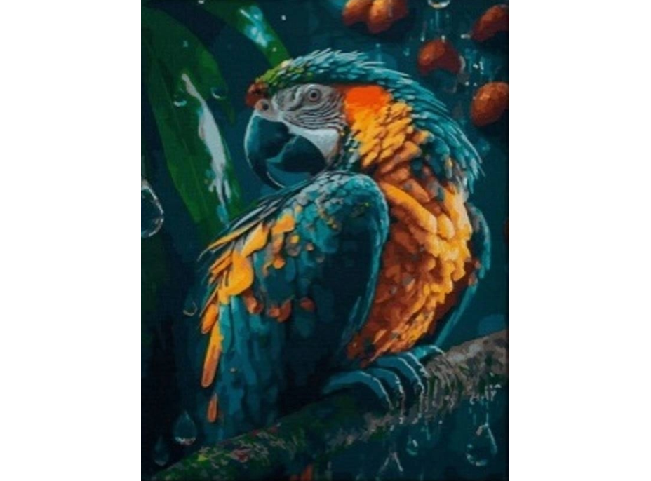 NORIMPEX Diamantové malování Papoušek 30x40cm