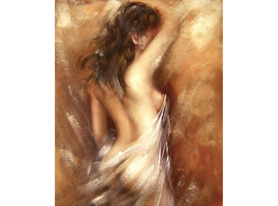 NORIMPEX Diamantové malování Ženská silueta 30x40cm