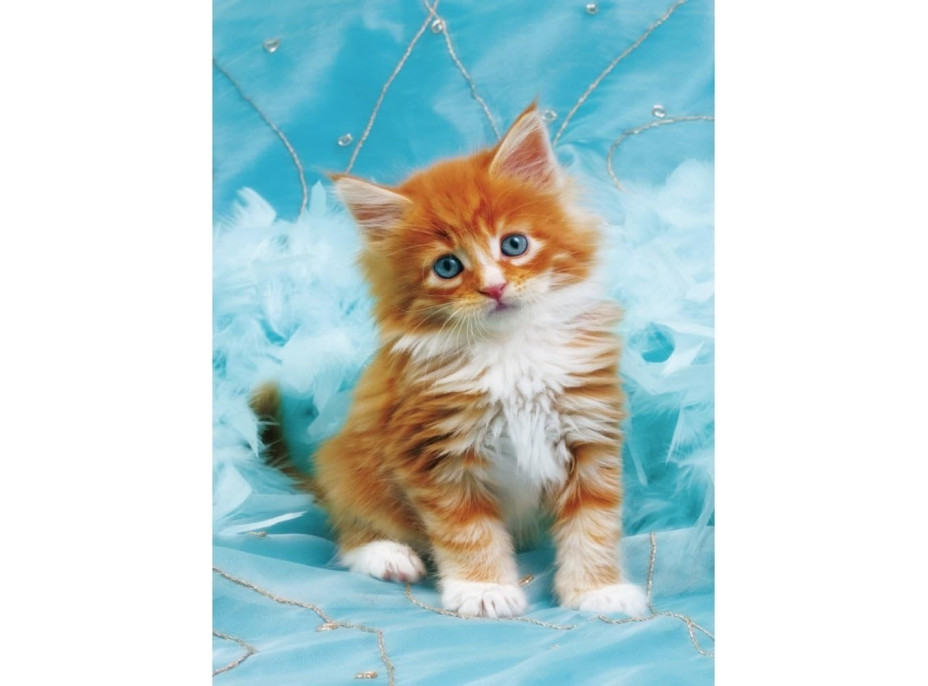 NORIMPEX Diamantové malování Zrzavé kotě na modrém pozadí 30x40cm