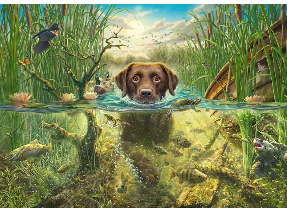 SCHMIDT Puzzle Čokoládový labrador 1000 dílků
