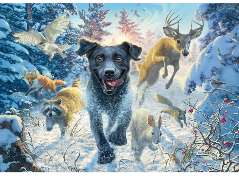 SCHMIDT Puzzle Labrador ve sněhu 1000 dílků