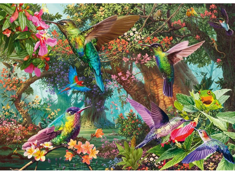SCHMIDT Puzzle Ledňáčci 1000 dílků