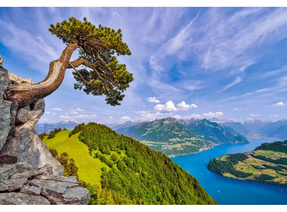 CASTORLAND Puzzle Pohled na jezero Uri, Švýcarsko 1000 dílků