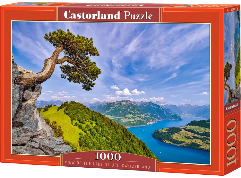 CASTORLAND Puzzle Pohled na jezero Uri, Švýcarsko 1000 dílků
