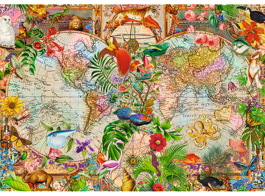 TREFL Puzzle Premium Plus Tea Time: Antická mapa světa 1000 dílků