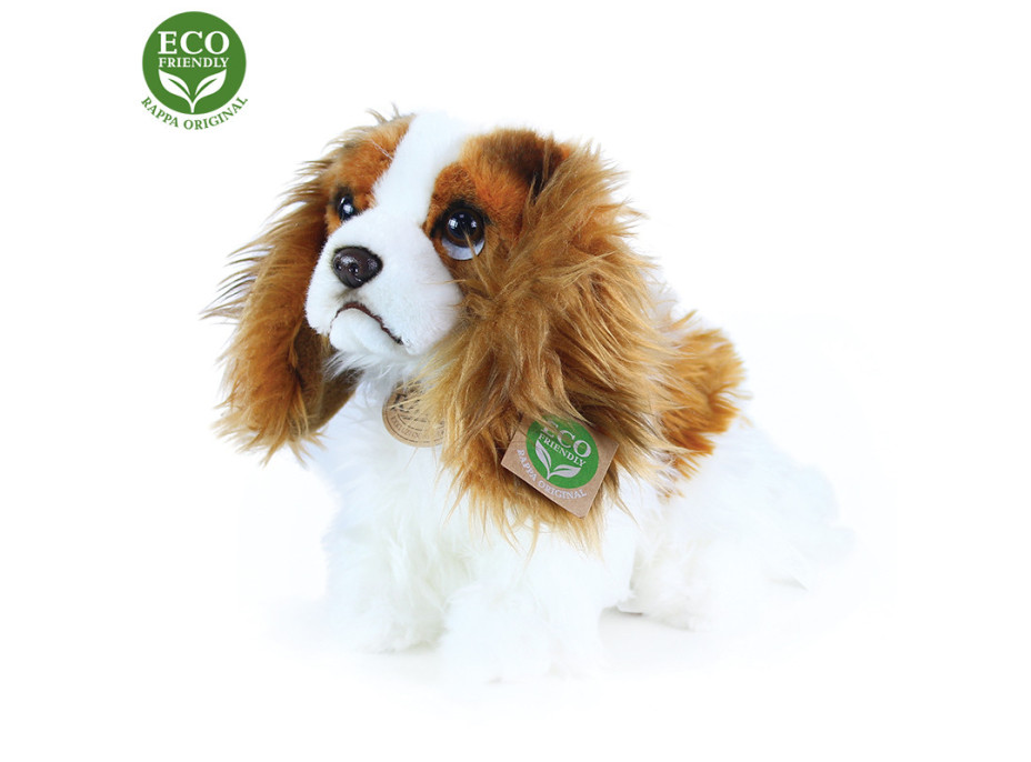 Rappa Plyšový pes king charles španěl 25 cm