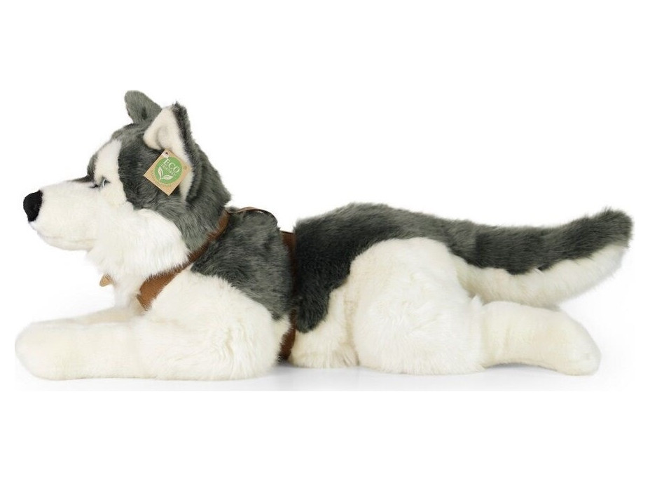 Rappa Plyšový pes husky s obojkem ležící 60 cm ECO-FRIENDLY