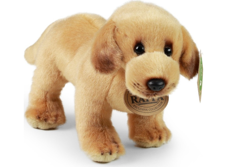 Rappa Plyšový labrador stojící 20 cm ECO-FRIENDLY