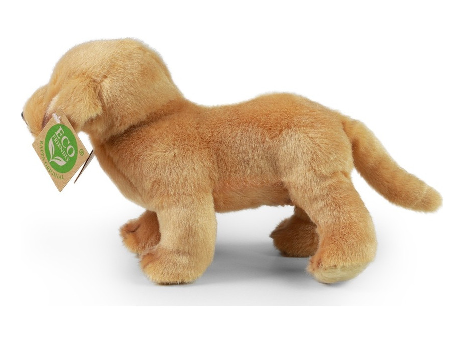 Rappa Plyšový labrador stojící 20 cm ECO-FRIENDLY