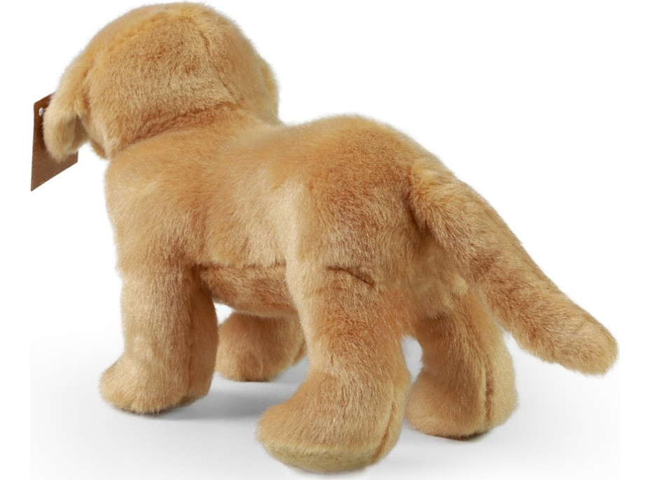 Rappa Plyšový labrador stojící 20 cm ECO-FRIENDLY