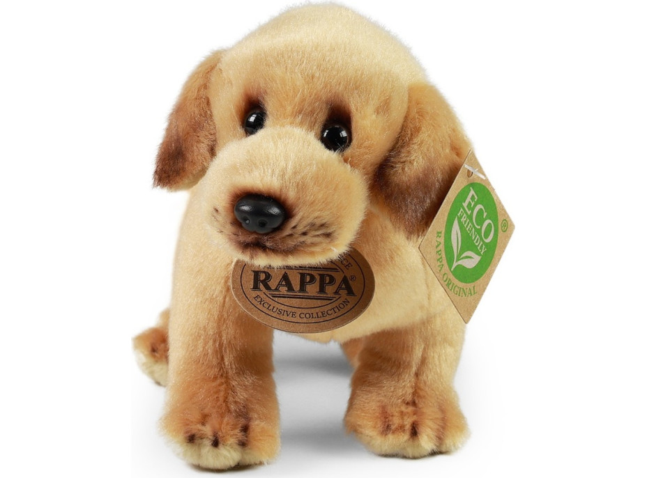 Rappa Plyšový labrador stojící 20 cm ECO-FRIENDLY