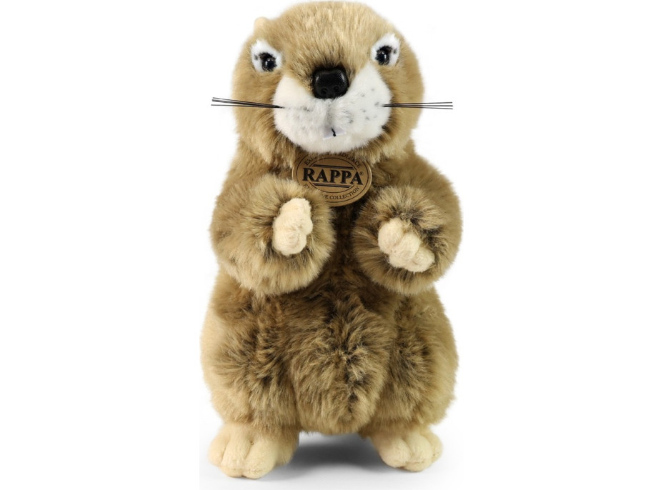 Rappa Plyšový svišť 23 cm ECO-FRIENDLY