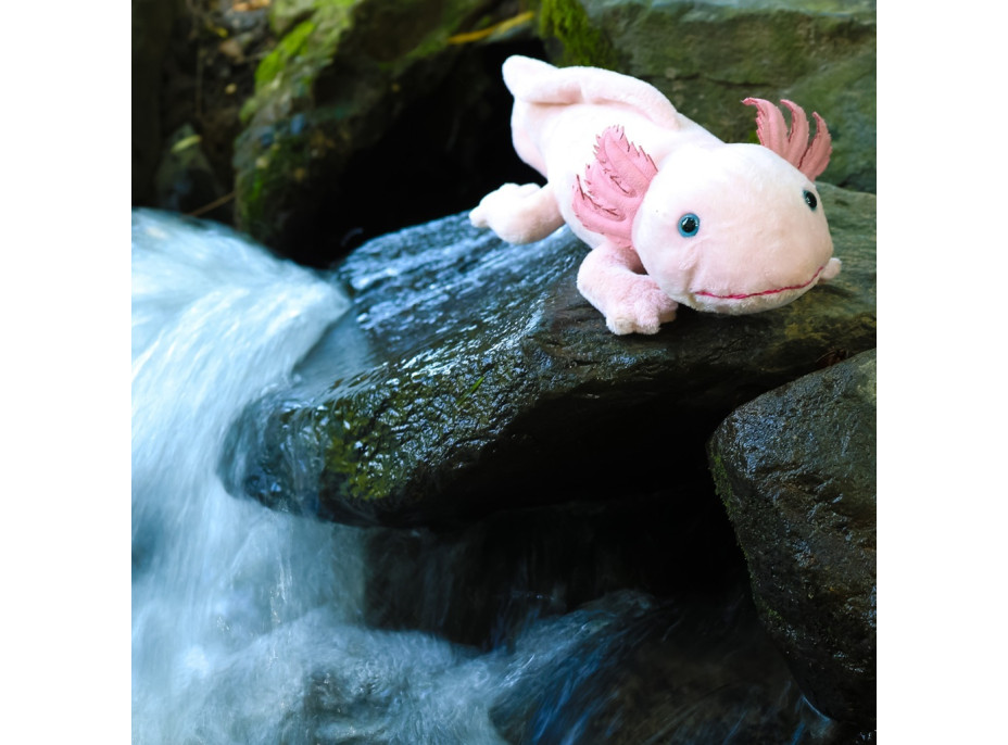 Rappa Plyšový axolotl 33 cm ECO-FRIENDLY