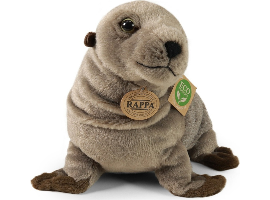 Rappa Plyšový lachtan 30 cm ECO-FRIENDLY