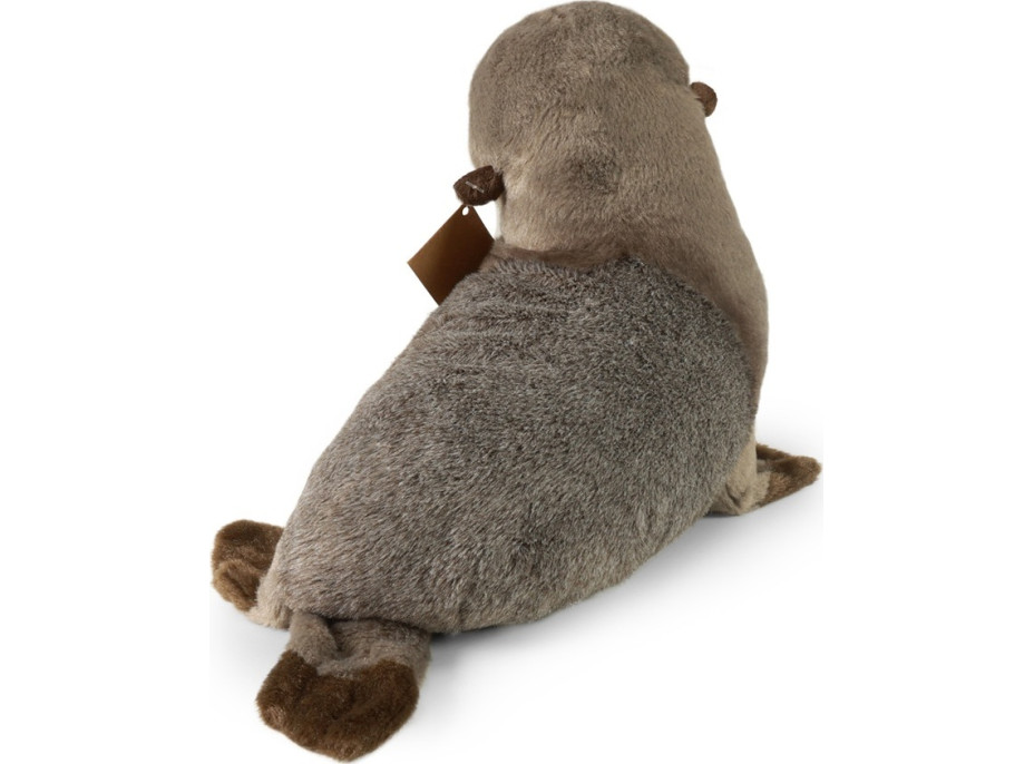 Rappa Plyšový lachtan 30 cm ECO-FRIENDLY