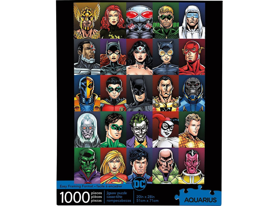 AQUARIUS Puzzle DC Comics 1000 dílků