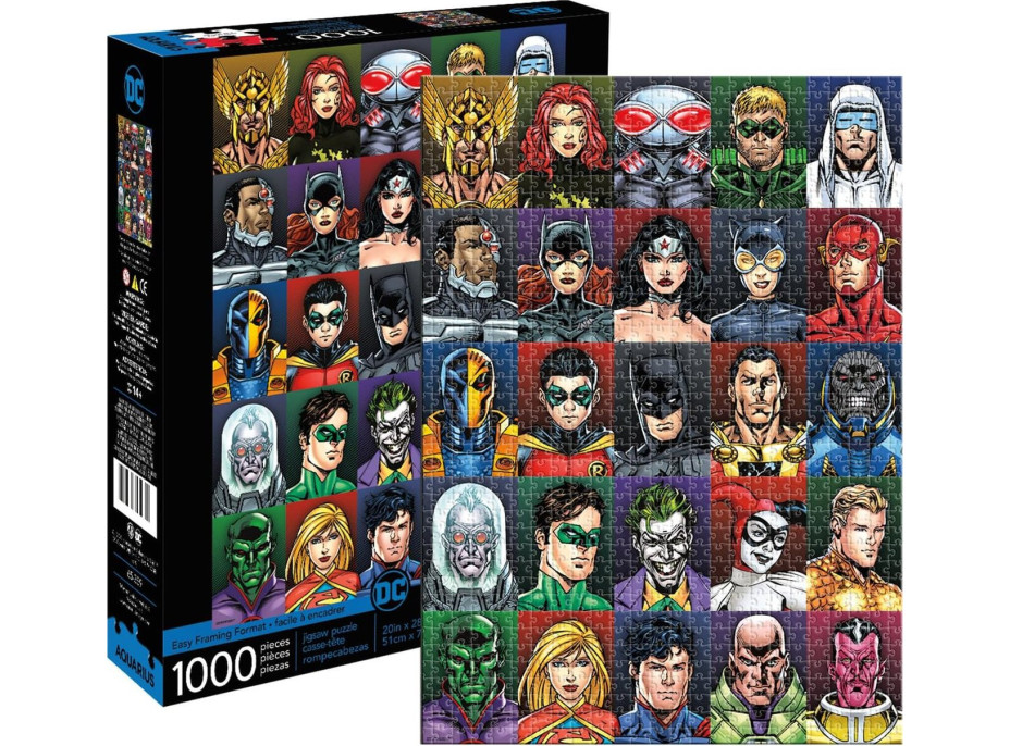 AQUARIUS Puzzle DC Comics 1000 dílků