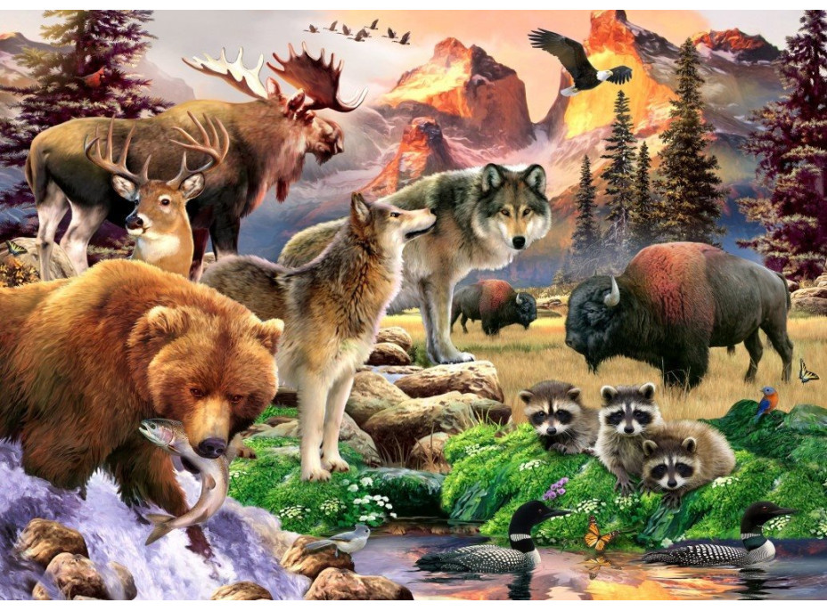 ALIPSON Puzzle Příroda 500 dílků