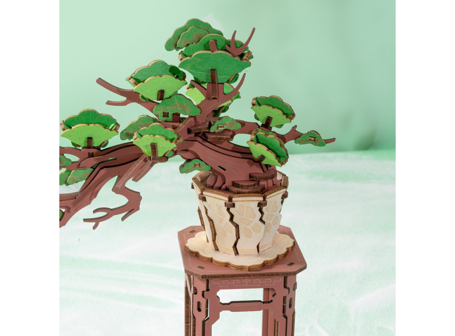 ROBOTIME Rolife DIY 3D dřevěné puzzle Bonsai z jehličnanu borovice 115 dílků