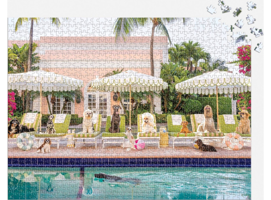 GALISON Puzzle U bazénu v Palm Beach 1000 dílků
