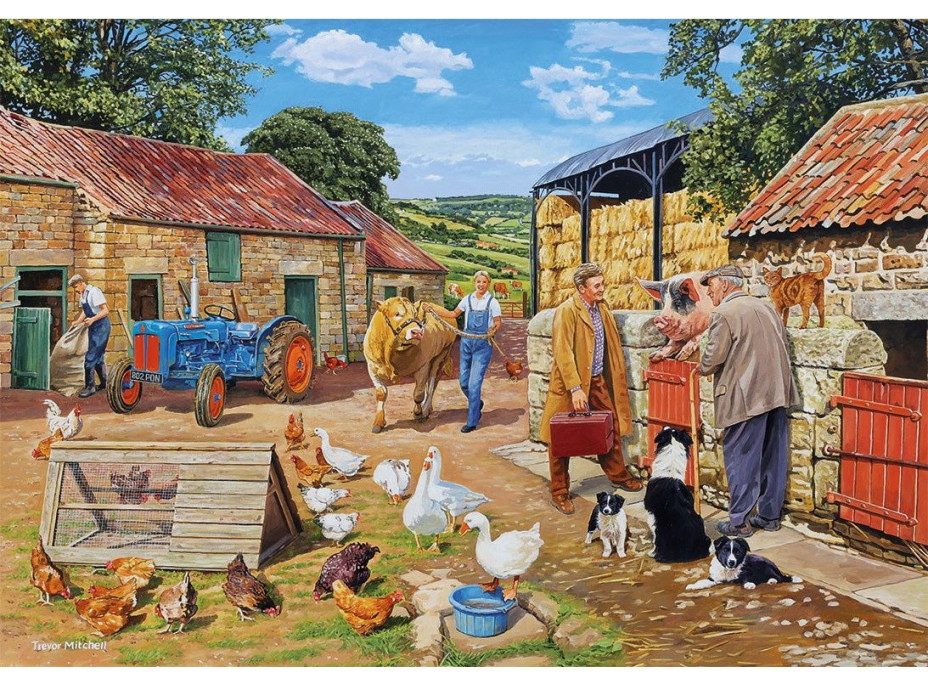 GIBSONS Puzzle Zavolejte veterináře 4x500 dílků